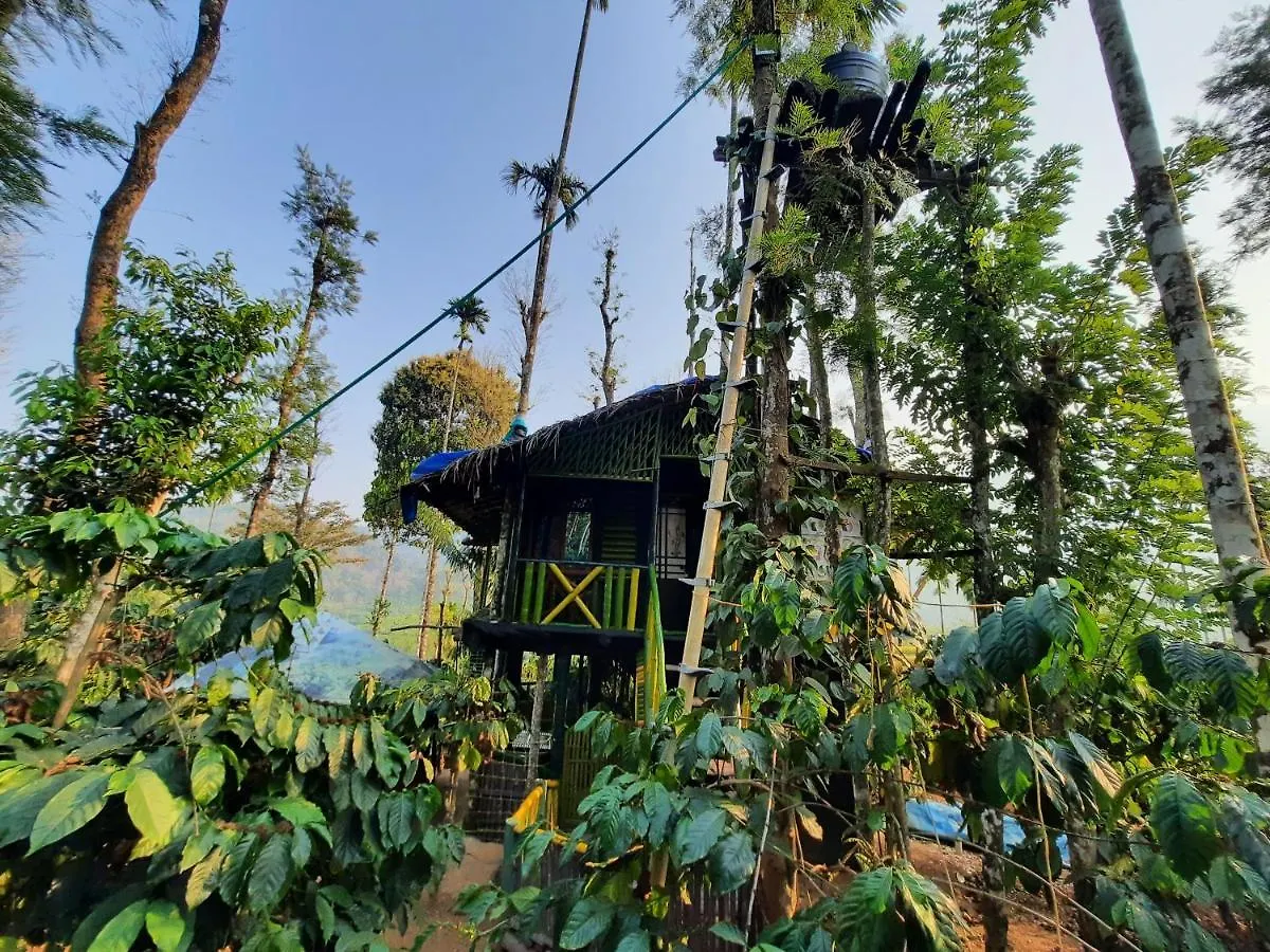 The Mountain Tree Home Wayanad