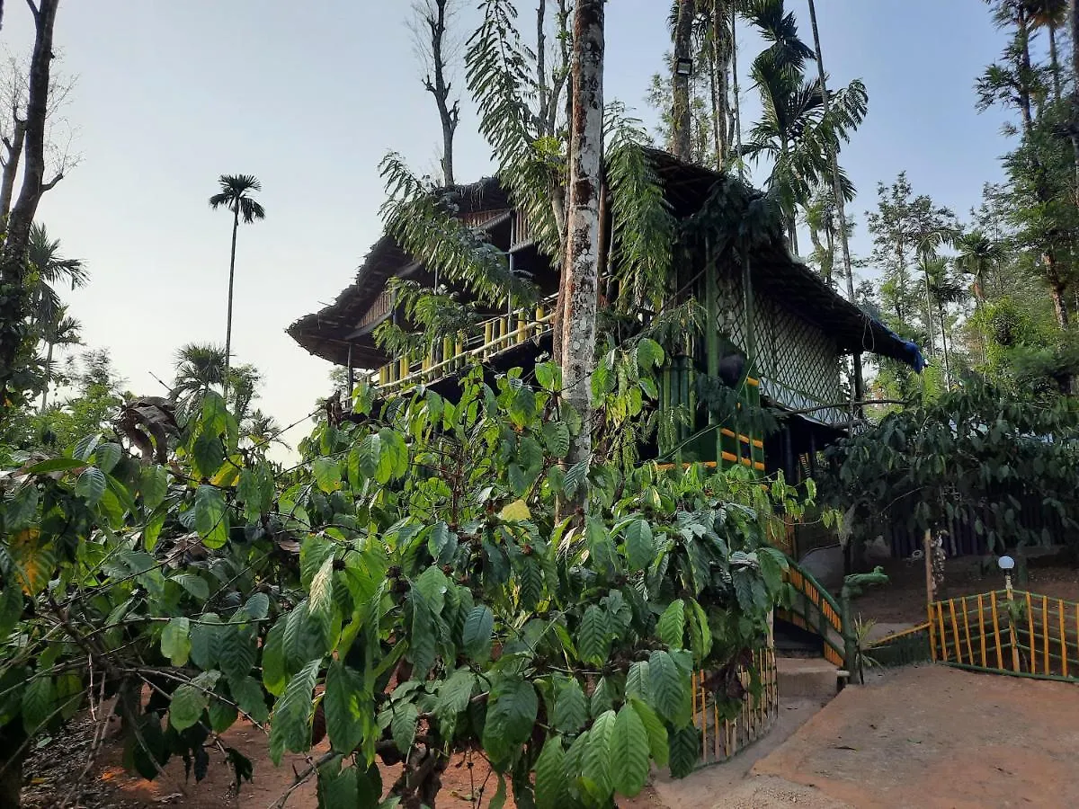 The Mountain Tree Home Wayanad Resort