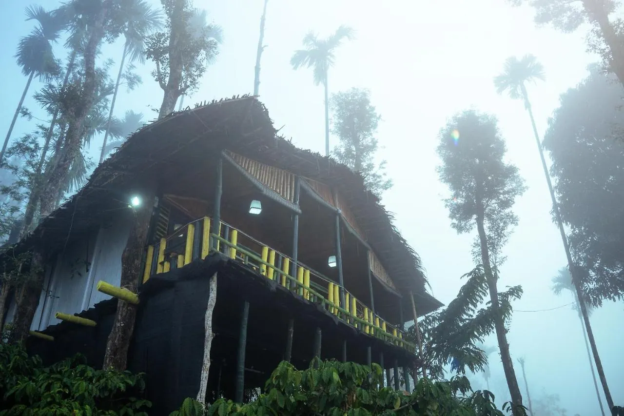 Resort The Mountain Tree Home Wayanad