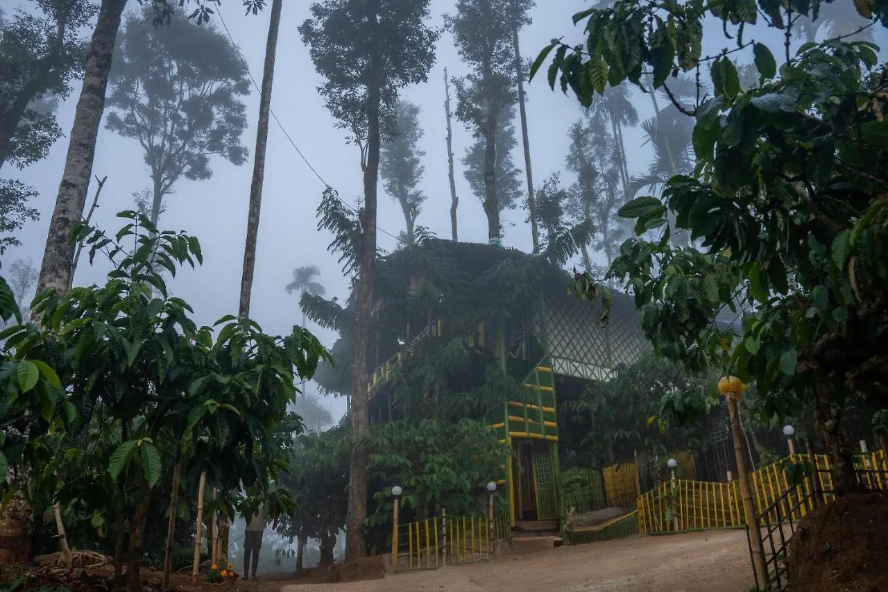 The Mountain Tree Home Wayanad India