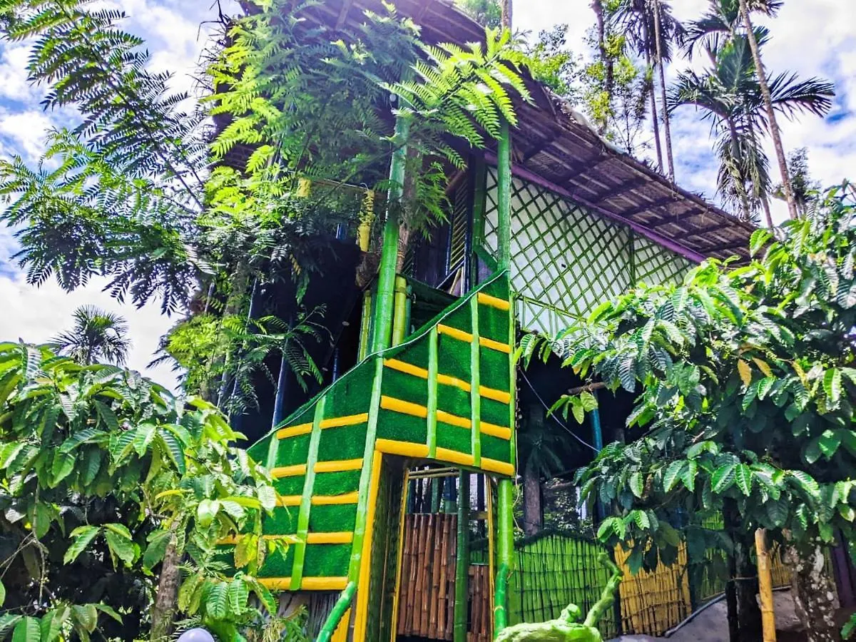 The Mountain Tree Home Wayanad 0*,  India