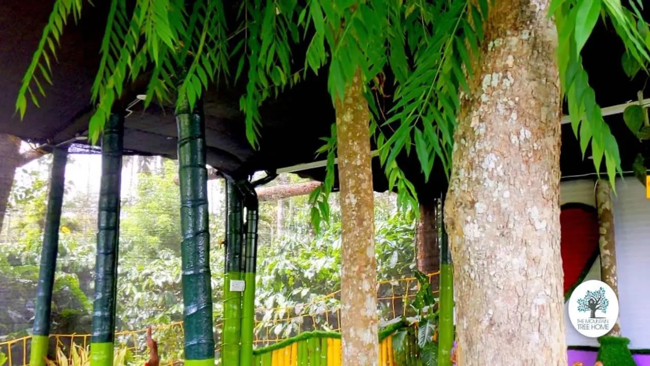 Resort The Mountain Tree Home Wayanad